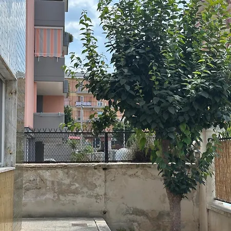 Lory's Bari